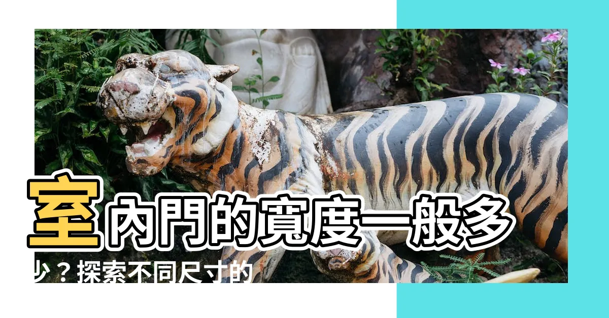 【門一般多寬】室內門的寬度一般多少？探索不同尺寸的標準房門尺寸