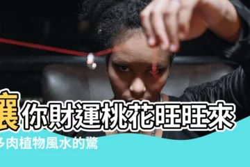 【多肉風水】讓你財運桃花旺旺來！多肉植物風水的驚人秘密