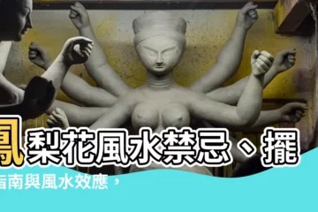 【鳳梨花風水】鳳梨花風水禁忌、擺設指南與風水效應，讓你鴻運當頭！