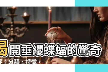 【垂纓蝶蝠】揭開垂纓蝶蝠的驚奇世界：分類、特徵，讓你大開眼界！
