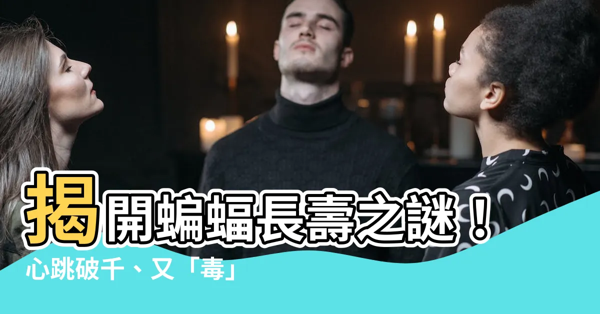 【蝙蝠 壽命】揭開蝙蝠長壽之謎！心跳破千、又「毒」？壽命竟可達30年！