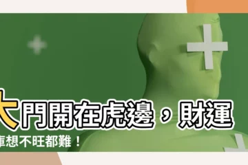 【大門開在虎邊】大門開在虎邊，財運財庫想不旺都難！