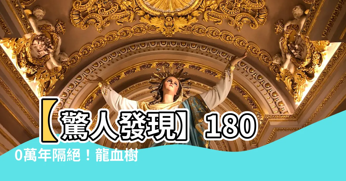 【龍血樹葉門】【驚人發現】1800萬年隔絕！龍血樹葉門揭神秘島嶼的潛力！