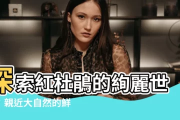 【紅杜鵑】探索紅杜鵑的絢麗世界：親近大自然的鮮豔之花