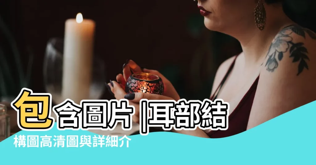包含圖片 |耳部結構圖高清圖與詳細介紹 |附標記的圖解 |【耳朵詳細圖】