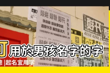 【用於姓名的好字】可用於男孩名字的字彙總 |起名宜用字賞析 |姓名裏最好的100個字 |