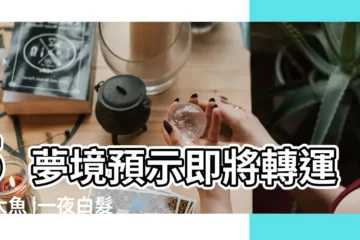 【夢見男朋友頭白了好多】5夢境預示即將轉運抓大魚 |一夜白髮都是吉兆 |國學解夢心理師 |