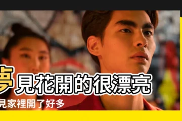 【夢見自己家裏養了很多漂亮的花】夢見花開的很漂亮 |夢見家裡開了好多花 |夢見很多花開的很漂亮 |