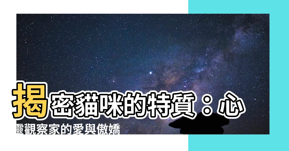 【貓的特質】揭密貓咪的特質：心靈觀察家的愛與傲嬌