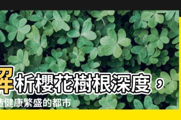 【櫻花樹根深度】解析櫻花樹根深度，打造健康繁盛的都市櫻花美景