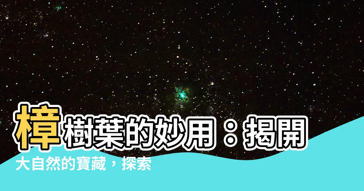 【樟樹葉用途】樟樹葉的妙用：揭開大自然的寶藏，探索樟樹葉的用途與功效