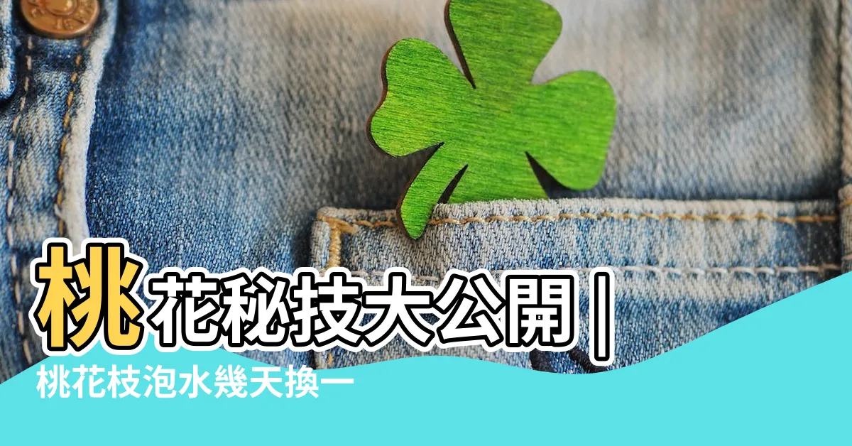 【桃花枝作用】桃花秘技大公開 |桃花枝泡水幾天換一次水 |可不可以放門口 |