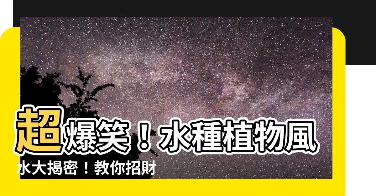 【水種植物風水】超爆笑！水種植物風水大揭密！教你招財又開運！