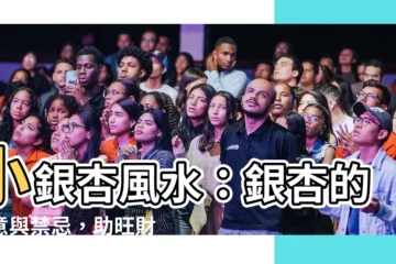 【小銀杏風水】小銀杏風水：銀杏的寓意與禁忌，助旺財富、擋煞解厄