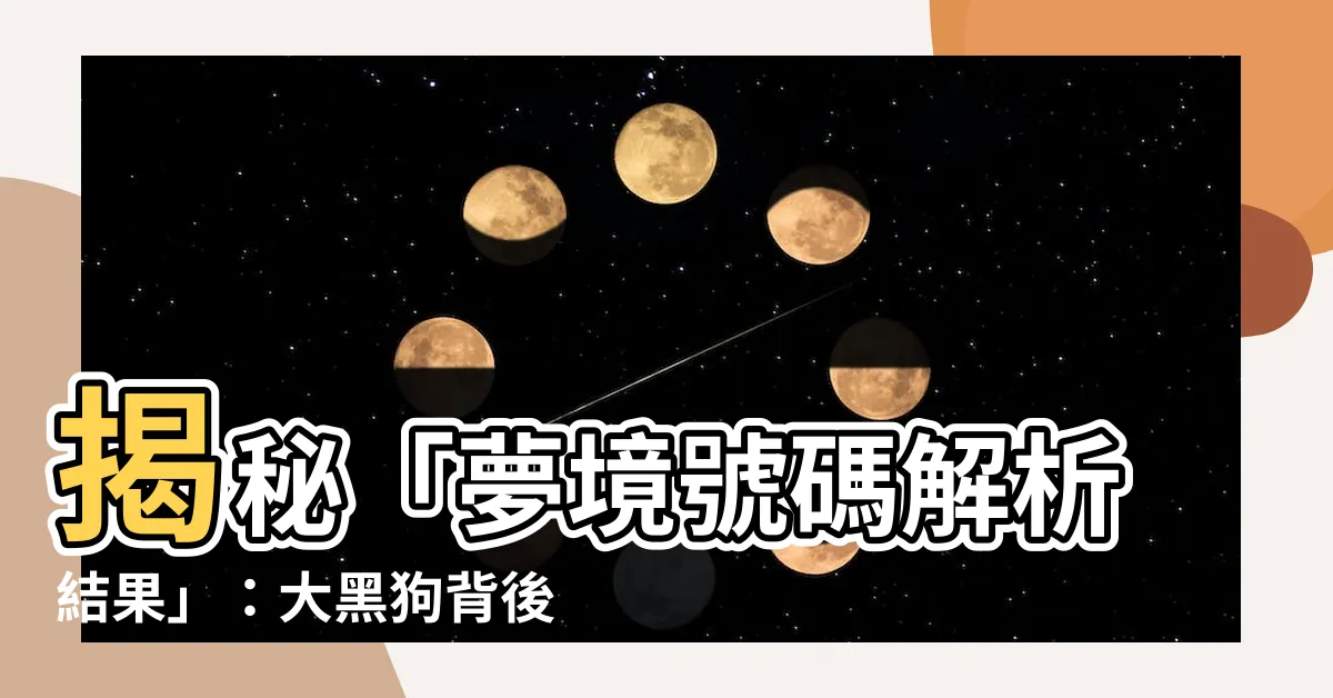 【黑狗號碼】揭秘「夢境號碼解析結果」：大黑狗背後的神秘黑狗號碼