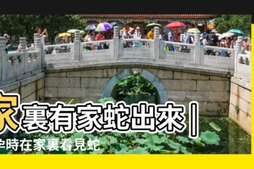 【家裏有懷孕的蛇好事嗎】家裏有家蛇出來 |懷孕時在家裏看見蛇好嗎 |有什麼預兆嗎 |