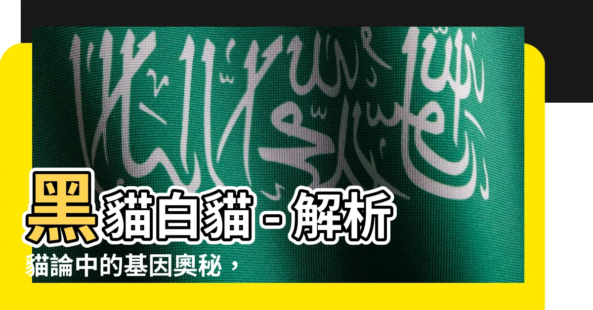 【黑貓白貓】黑貓白貓 - 解析貓論中的基因奧秘，讓你大開貓界新世界之門！