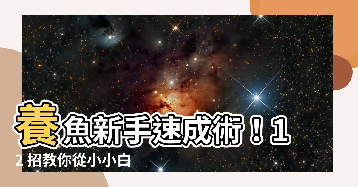 【養魚方法】養魚新手速成術！12 招教你從小小白晉升為養魚達人