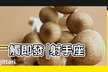 【射手男喜歡摸你哪裏】一觸即發 |射手座Sagittarius |射手男最想 |
