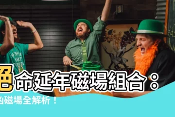 【絕命延年】絕命延年磁場組合：吉凶磁場全解析！