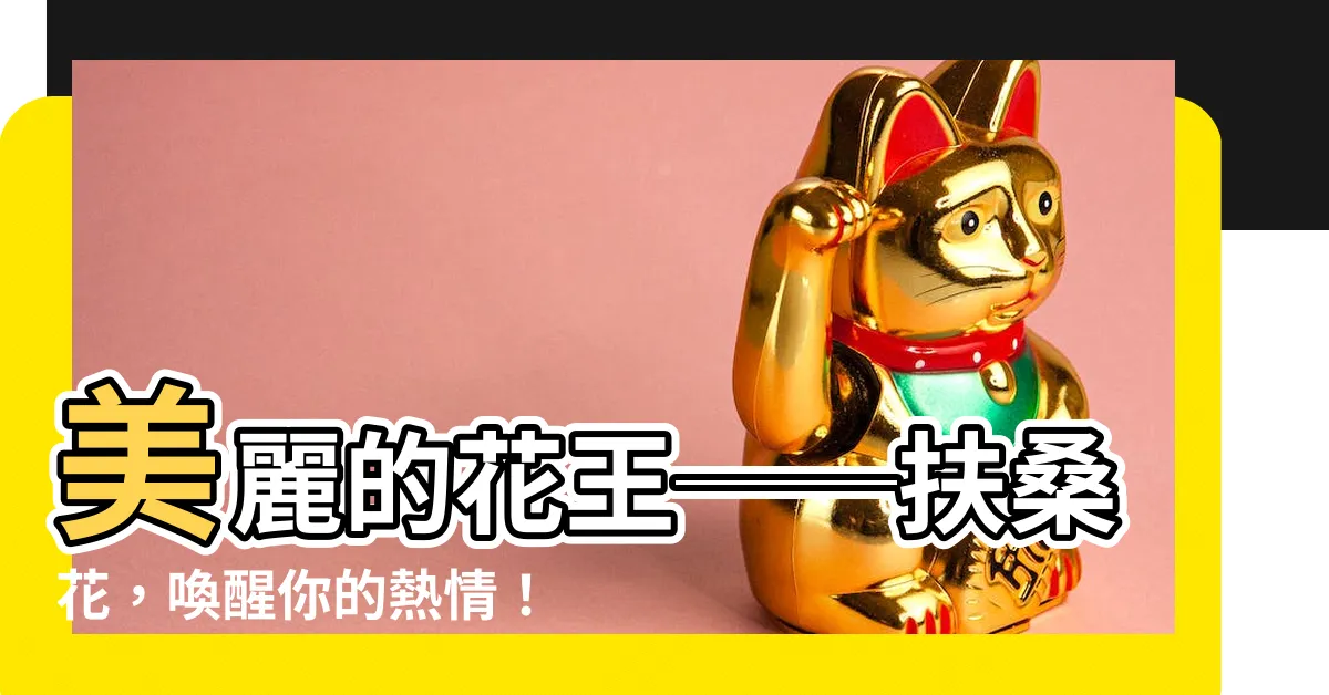 【扶桑 花】美麗的花王──扶桑花，喚醒你的熱情！
