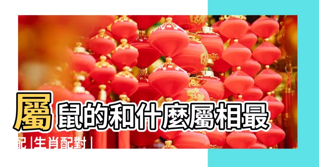 屬鼠的和什麼屬相最配 |生肖配對 |屬鼠的和什麼屬相最配 |【屬鼠和什麼屬相最配】