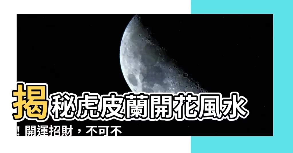 【虎皮蘭開花風水】揭秘虎皮蘭開花風水！開運招財，不可不知的寓意