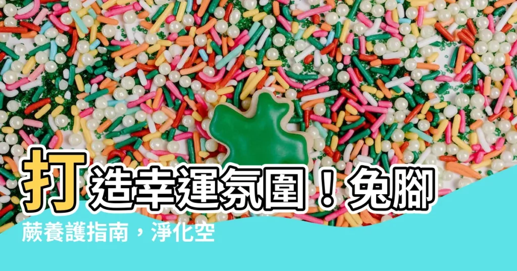 【兔腳蕨功效】打造幸運氛圍！兔腳蕨養護指南，淨化空氣、帶來好運