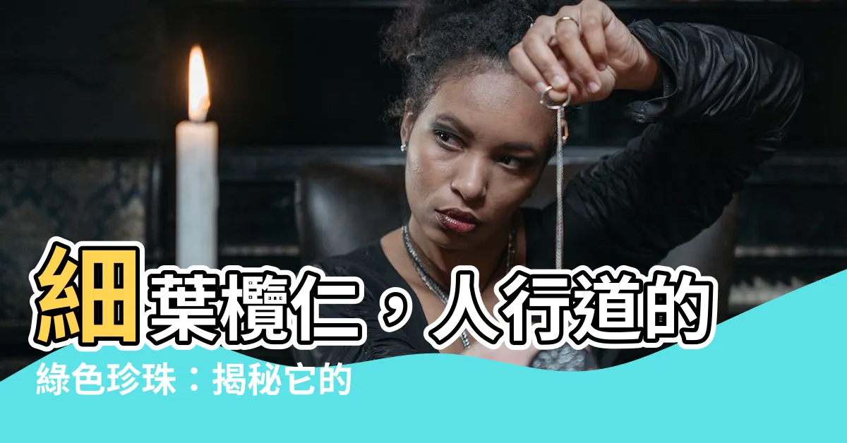 【細葉欖仁】細葉欖仁，人行道的綠色珍珠：揭秘它的迷人魅力