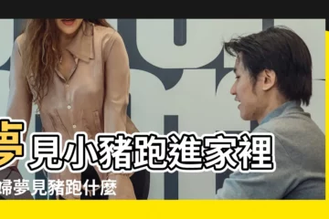 【孕婦夢見豬仔跑了】夢見小豬跑進家裡 |孕婦夢見豬跑什麼意思 |孕婦夢見豬跑了是什麼意思 |