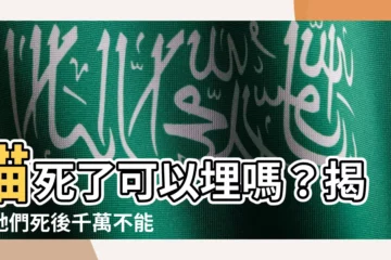 【貓死了可以埋嗎】貓死了可以埋嗎？揭開牠們死後千萬不能埋的科學秘密！
