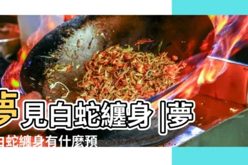 【周公解夢夢見白蛇纏身】夢見白蛇纏身 |夢見白蛇纏身有什麼預兆 |夢到大白蛇纏身是什麼徵兆 |