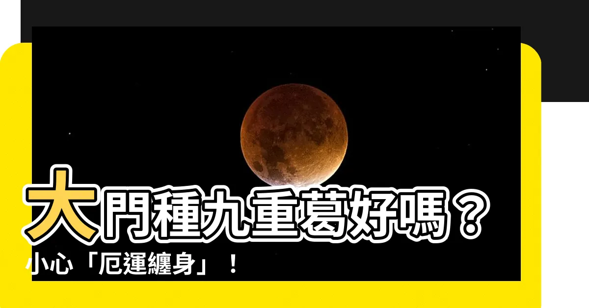 【門口種九重葛好嗎】大門種九重葛好嗎？小心「厄運纏身」！風水師曝5大居家植物禁忌