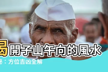 【子山午向】揭開子山午向的風水奧秘：方位吉凶全解析！