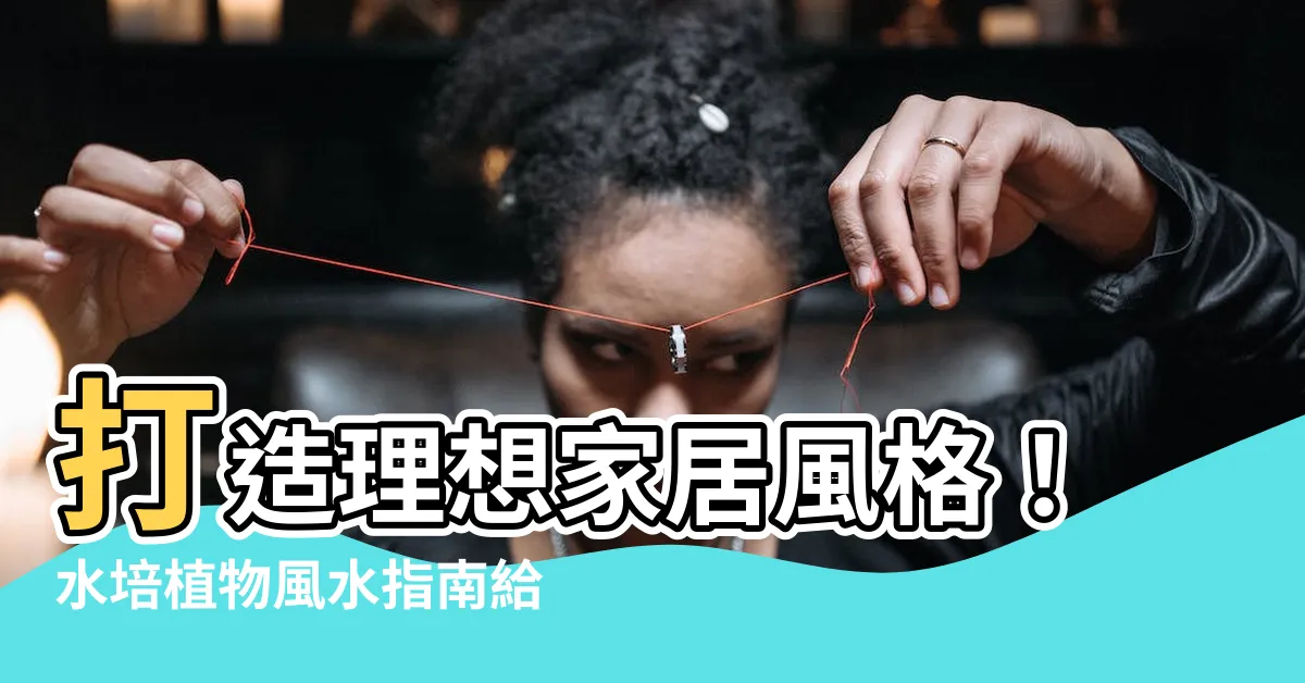 【水培植物風水】打造理想家居風格！水培植物風水指南給你的家帶來好運