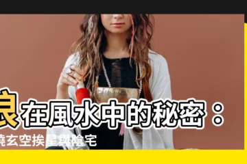 【狼 風水】狼在風水中的秘密：揭曉玄空挨星與陰宅風水的生剋關係