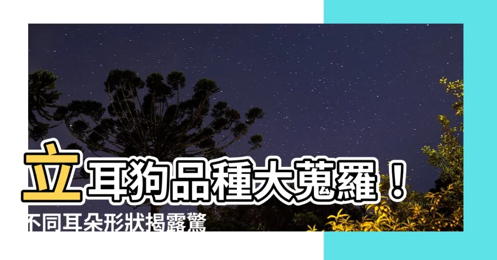 【立耳狗品種】立耳狗品種大蒐羅！不同耳朵形狀揭露驚人秘密