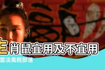 【十二生肖與姓名吉凶子年生人屬鼠】生肖鼠宜用及不宜用字 |雲淡風輕部落格 |生肖姓名學 |