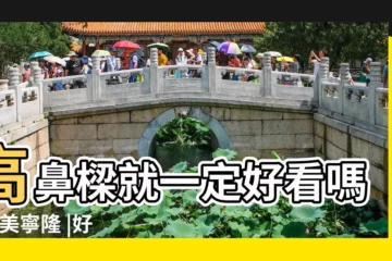 【鼻子高好看嗎】高鼻樑就一定好看嗎 |善美寧隆 |好看的鼻子應該是這樣子 |