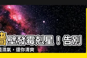 【家裡牆壁發黴】牆壁發黴剋星！告別黴菌濕氣，還你清爽舒適的家