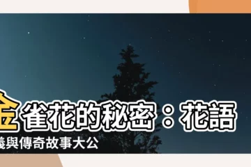 【金雀花花語】金雀花的秘密：花語意義與傳奇故事大公開