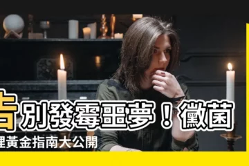 【黴菌處理】告別發黴噩夢！黴菌處理黃金指南大公開