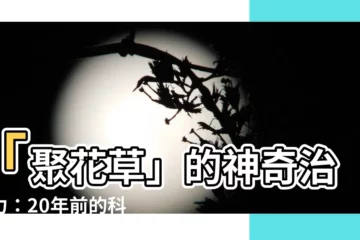 【聚花草】「聚花草」的神奇治癒力：20年前的科學研究揭秘！