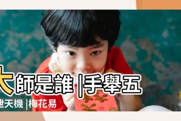 【當代梅花易數大師】大師是誰 |手舉五千泄天機 |梅花易數 |