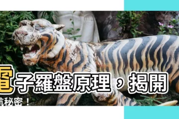【電子羅盤原理】電子羅盤原理，揭開導航秘密！