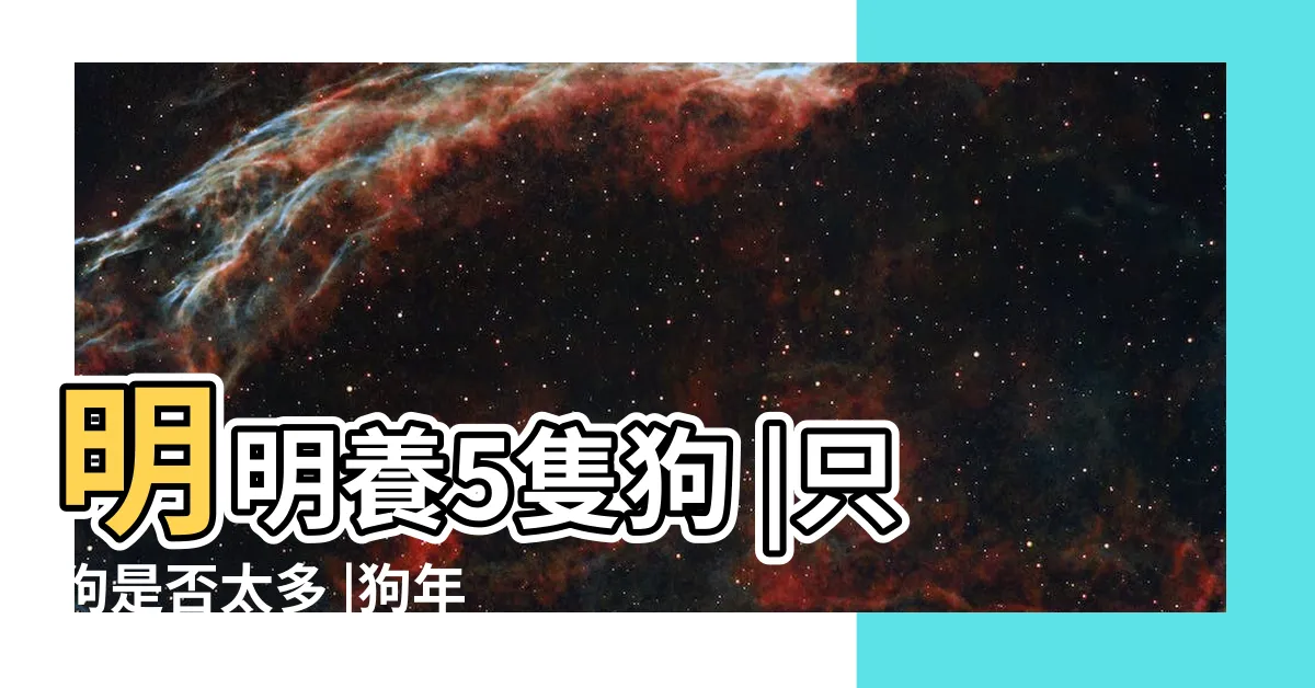 【養五隻狗】明明養5隻狗 |只狗是否太多 |狗年狗來富家裡養狗數量有學問 |