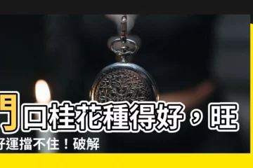 【門口桂花風水】門口桂花種得好，旺家好運擋不住！破解3大風水禁忌