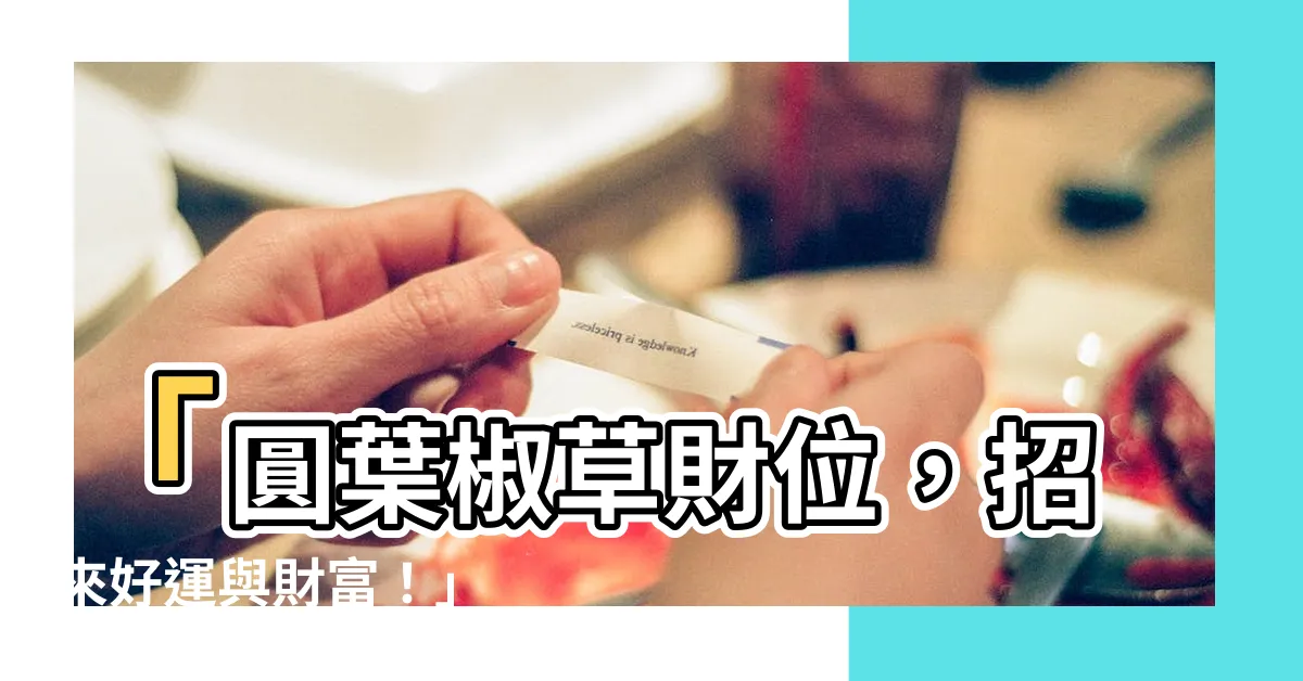 【圓葉椒草財位】「圓葉椒草財位，招來好運與財富！」