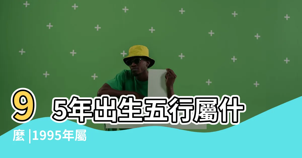 【1995年生肖五行】95年出生五行屬什麼 |1995年屬豬是什麼命五行屬什麼 |1995年到底是木還是火五行屬性 |