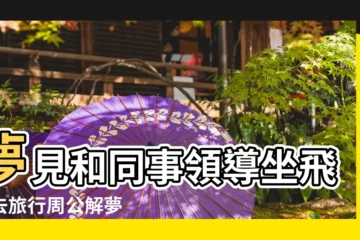 【夢見同事一起坐飛機】夢見和同事領導坐飛機去旅行周公解夢 |夢到了和朋友一起坐飛機是不是好的徵兆呢 |夢見和同事一起坐飛機 |